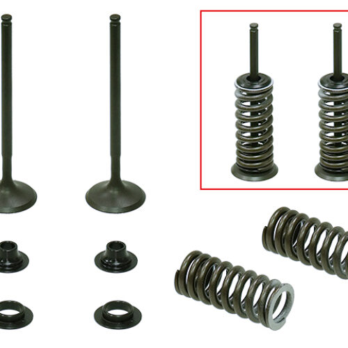 Kit de valvulas de escape completo — RP314013EK