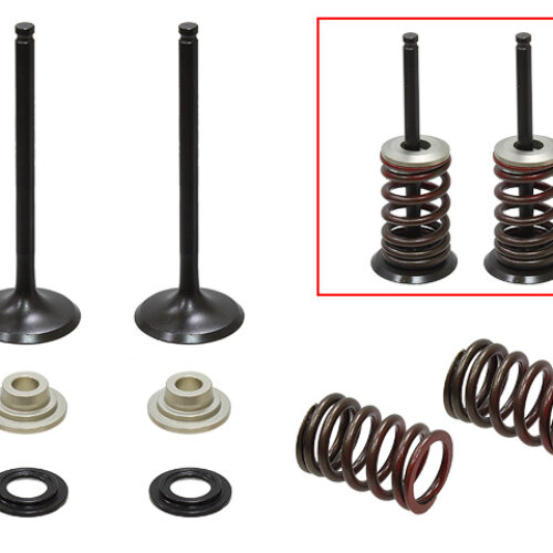Kit de valvulas de escape completo — RP314017EK