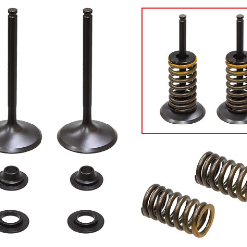 Kit de valvulas de admissão completo — RP314032IK