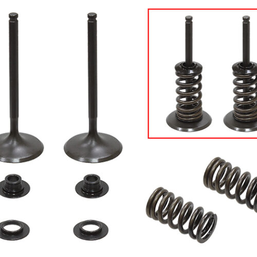 Kit de valvulas de admissão completo — RP314033IK