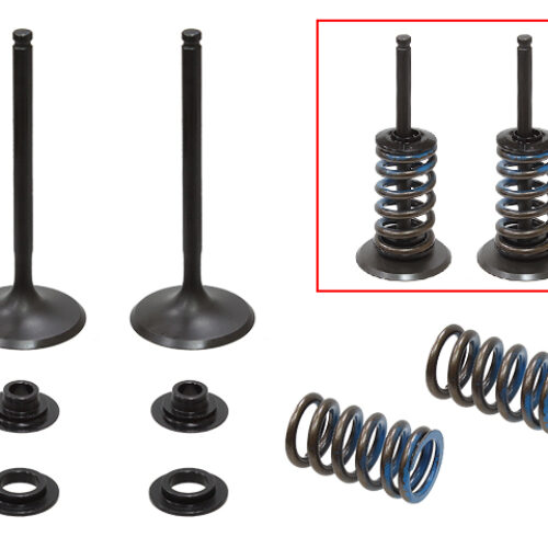 Kit de valvulas de admissão completo — RP314034IK